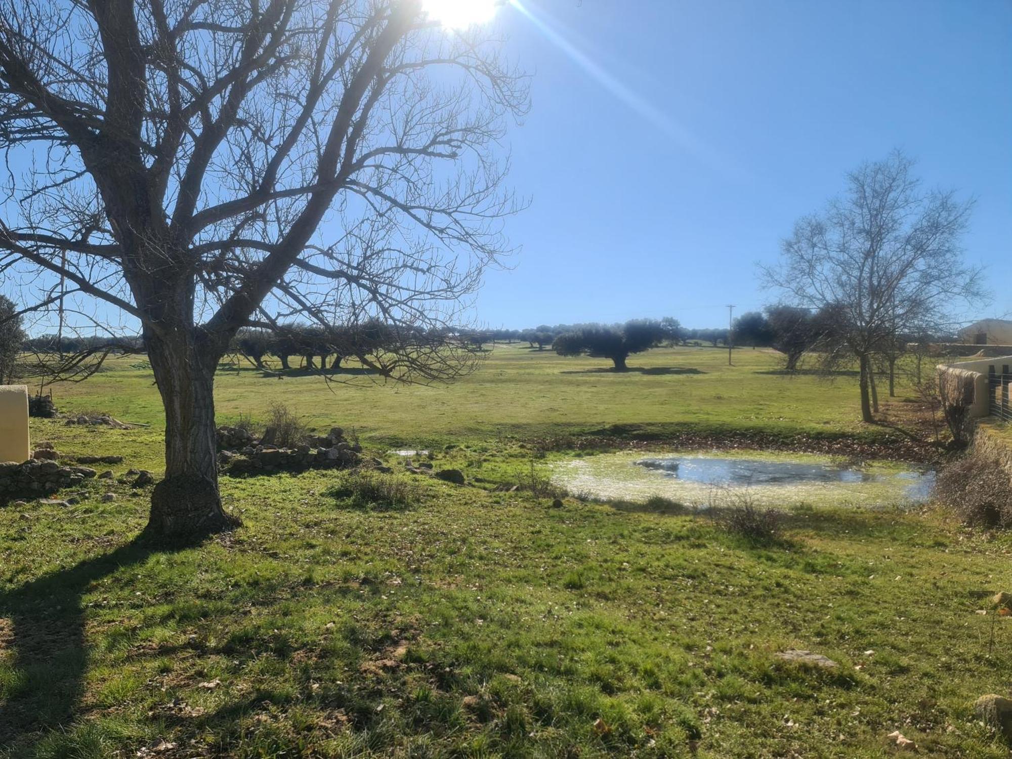Casa Rural Palacio Conde De Aldana Con Piscina Entre Encinares Y Dehesas Terradillos Zewnętrze zdjęcie